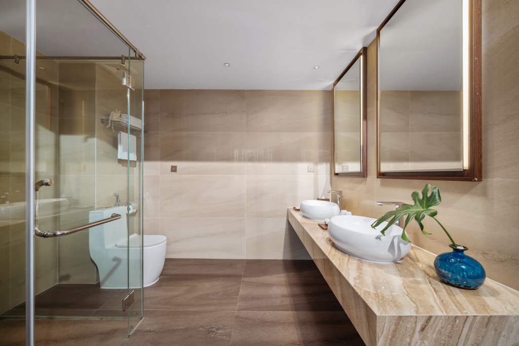 Canvas Suite
